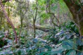 /album/cilaos/p1040029-jpg/