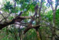 /album/cilaos/p1040034-jpg/