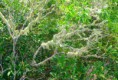 /album/cilaos/p1040047-jpg/